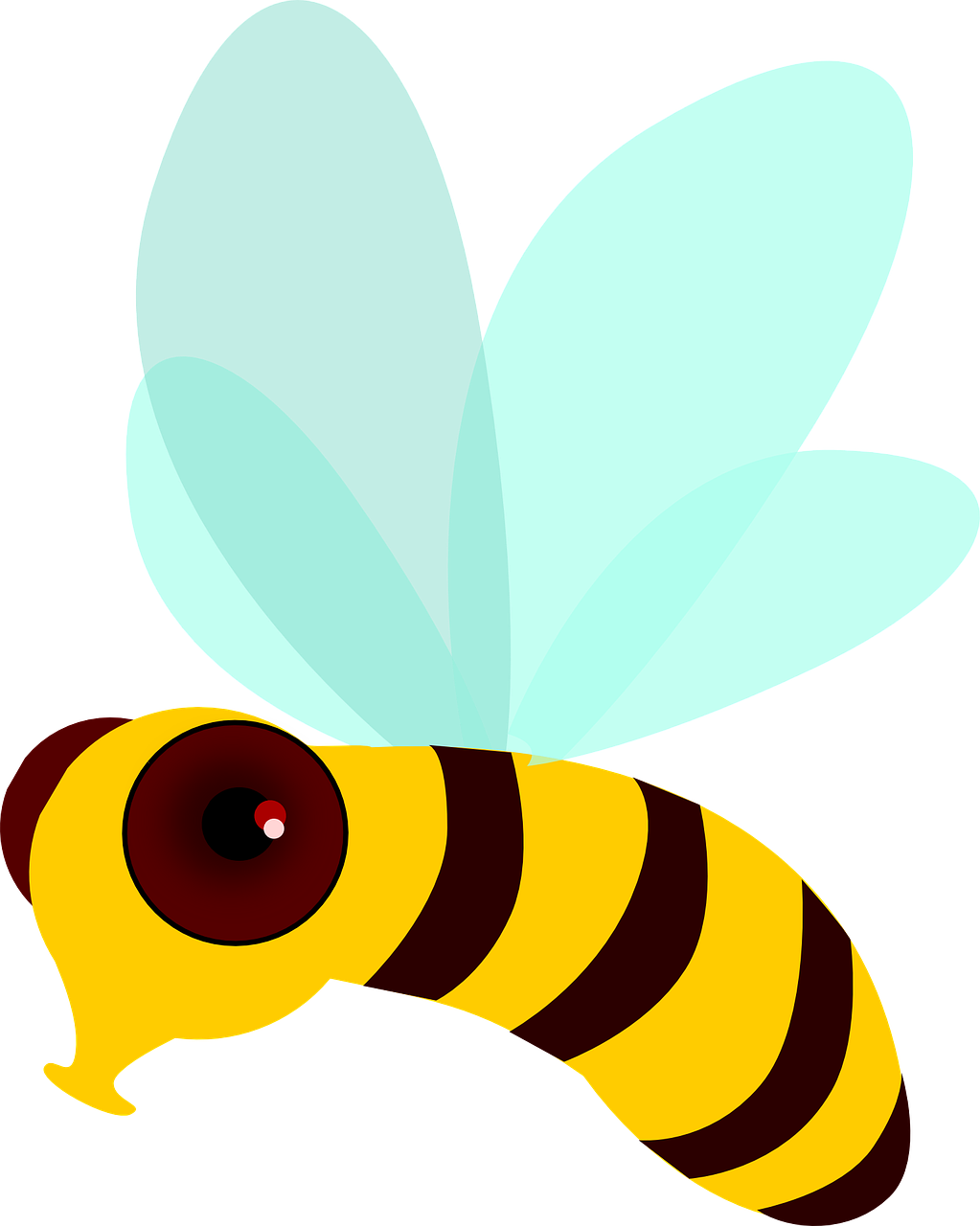 honey bee bee fly free photo