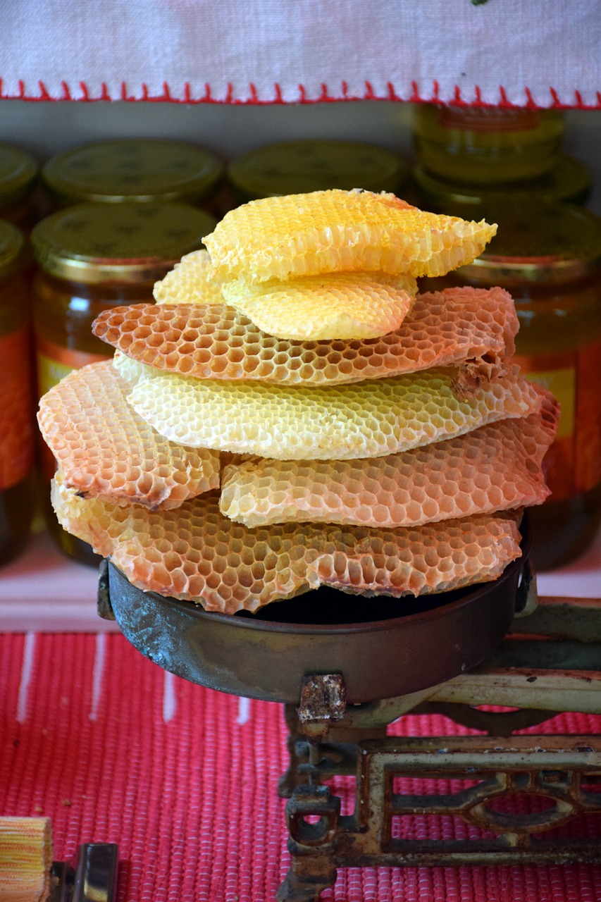 honeycomb honey croatia free photo