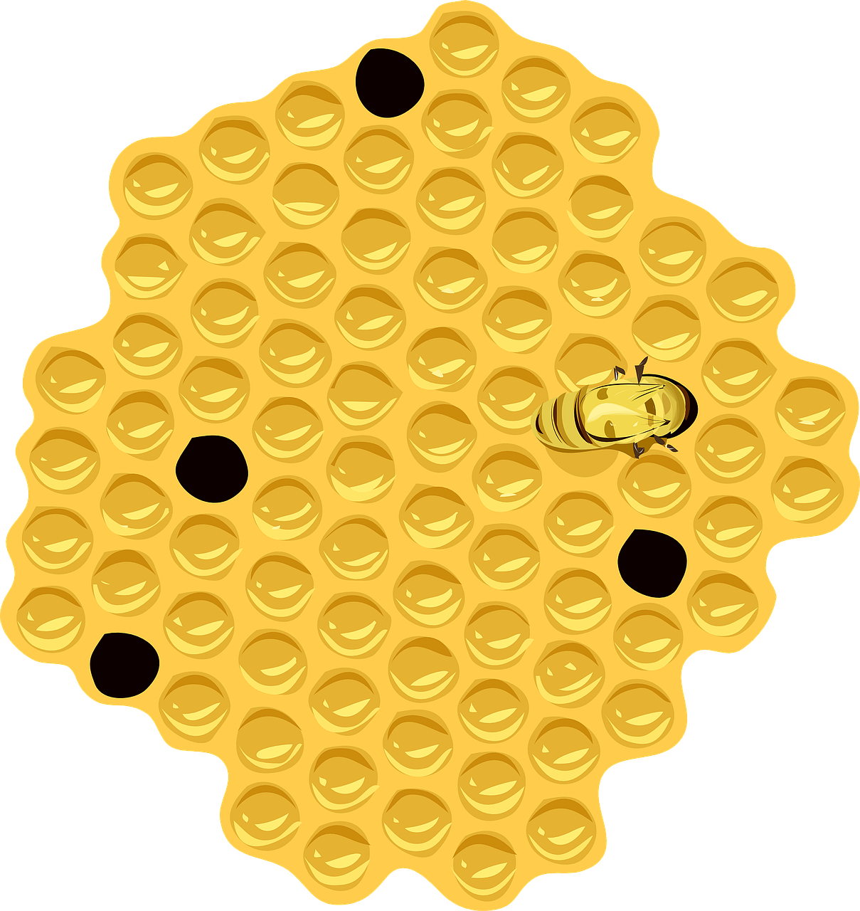 honeycomb bee hive free photo