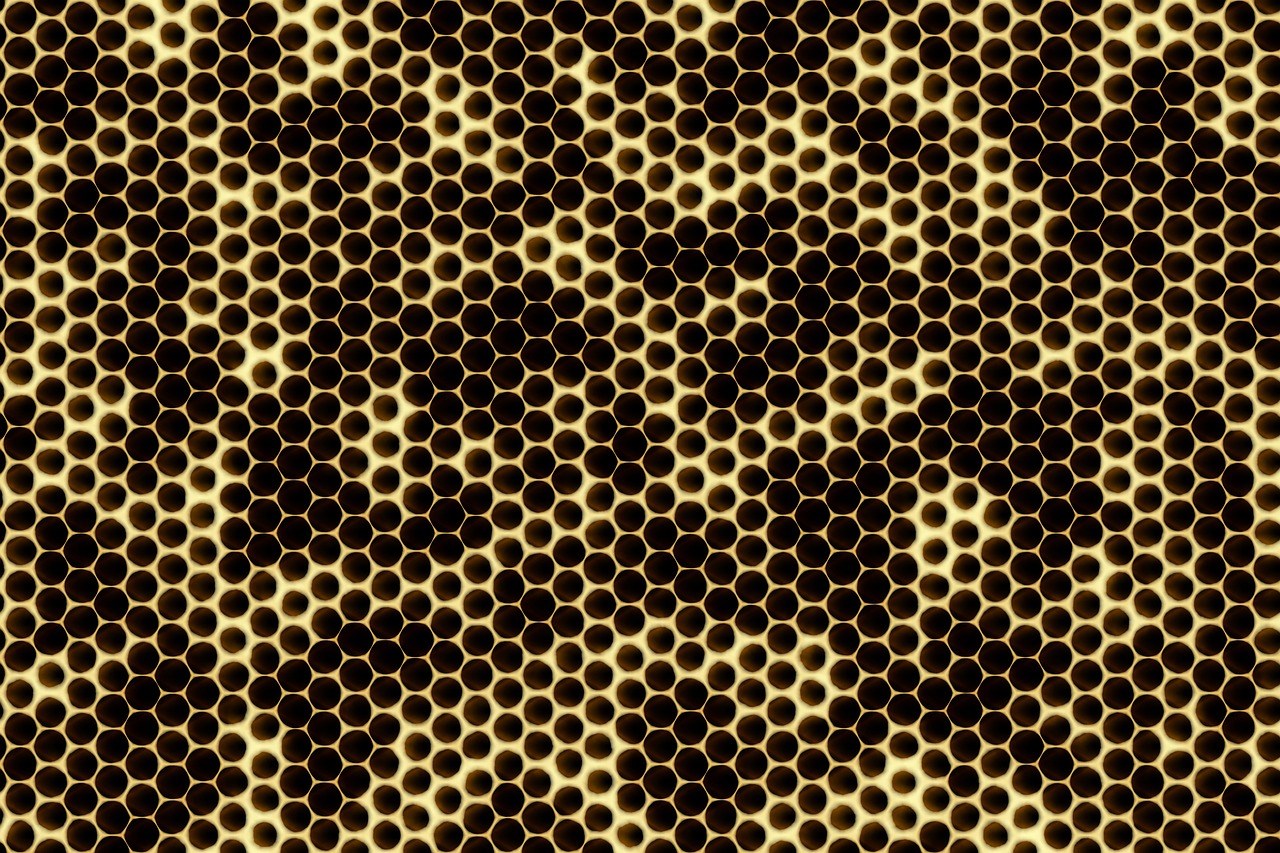 honeycomb beehive nature free photo