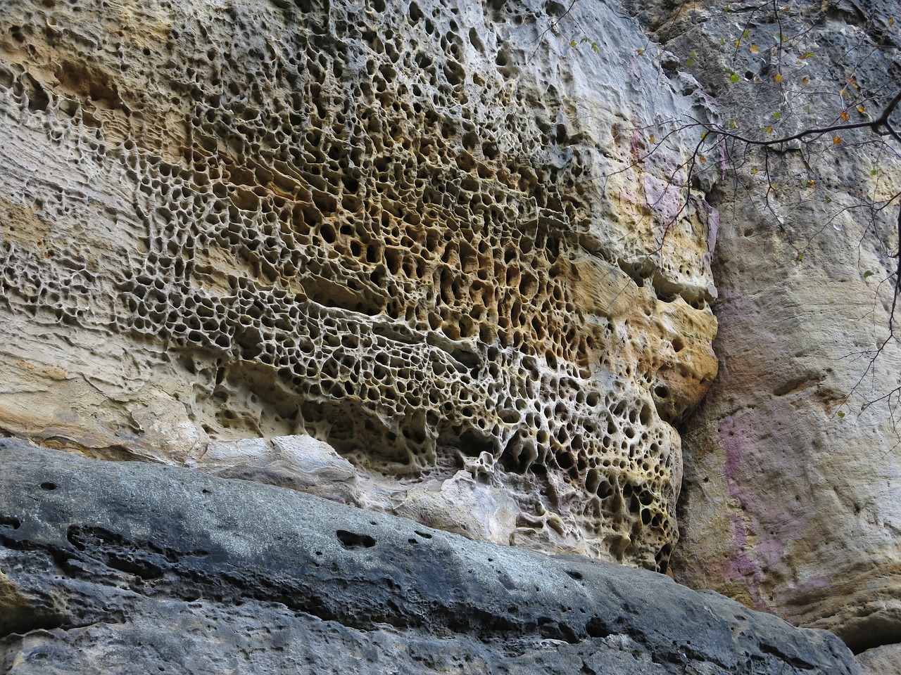 honeycomb erosion saxon switzerland sand stone pattern free photo
