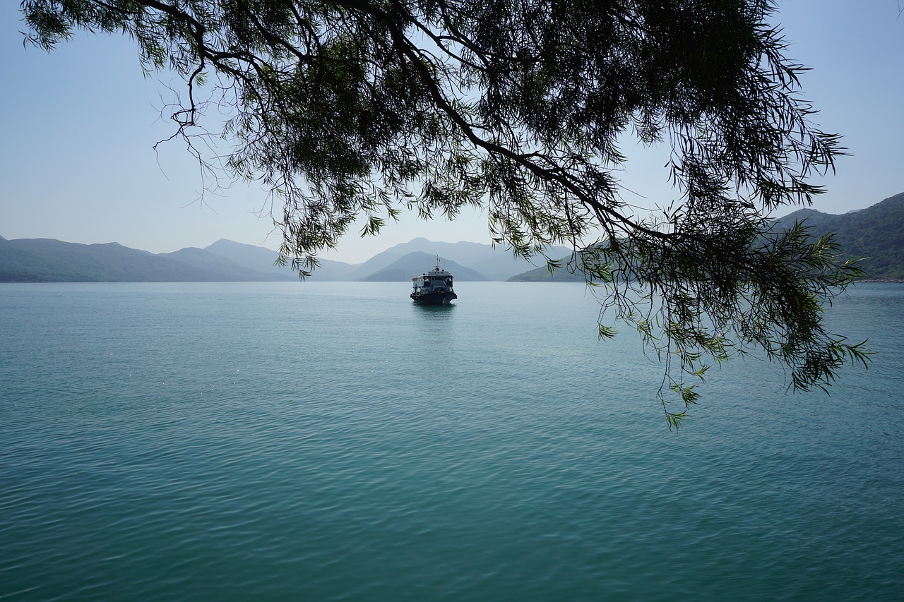 hong kong boat wanchai free photo