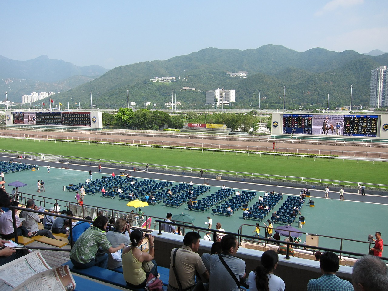 hong kong horse racing horse races free photo
