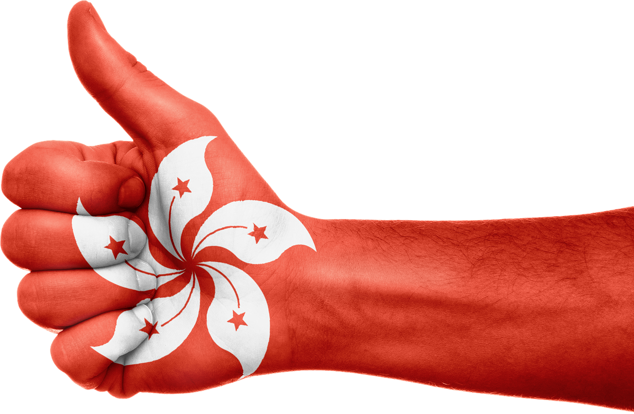hong kong flag hand free photo