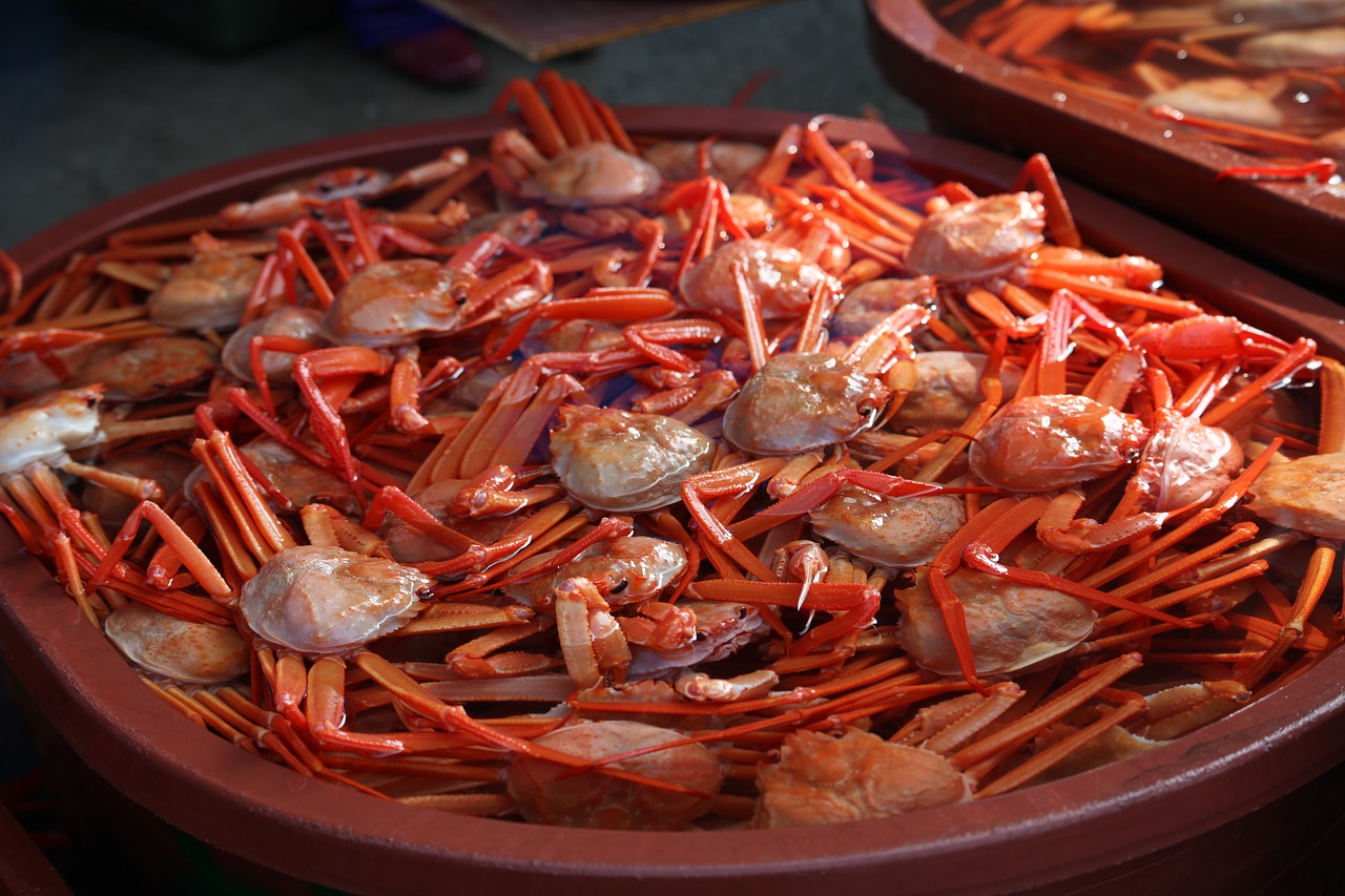 hong to sokcho crab free photo