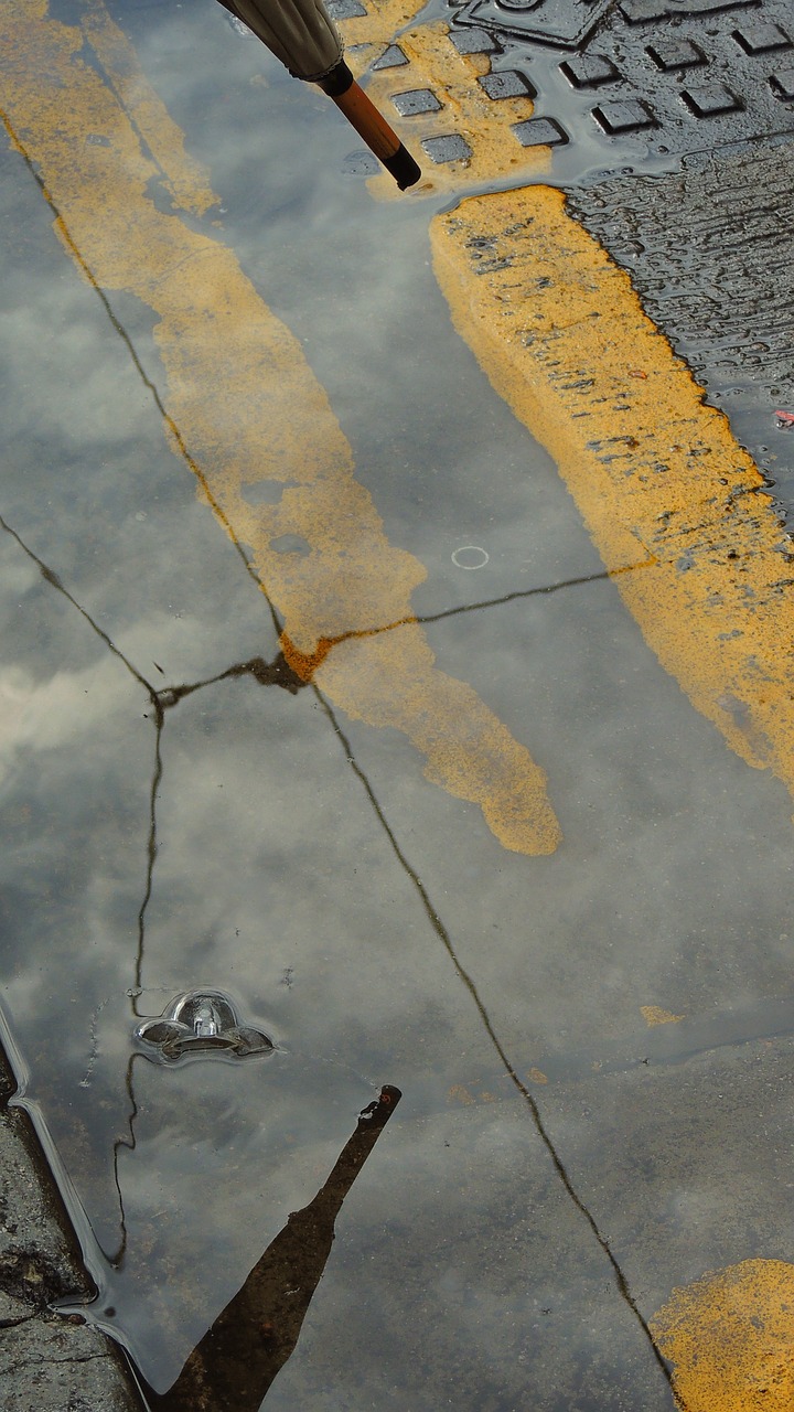 hongkong rain city free photo