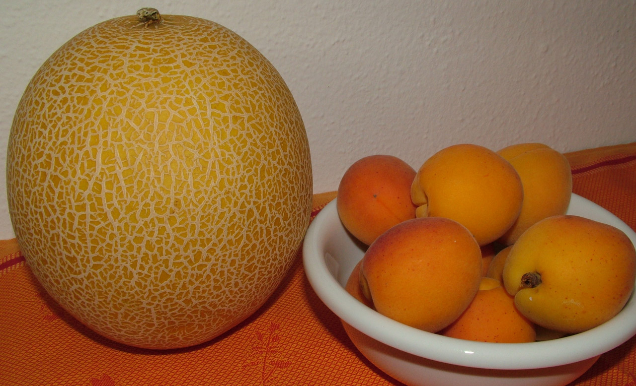 honeydew melon apricot free photo