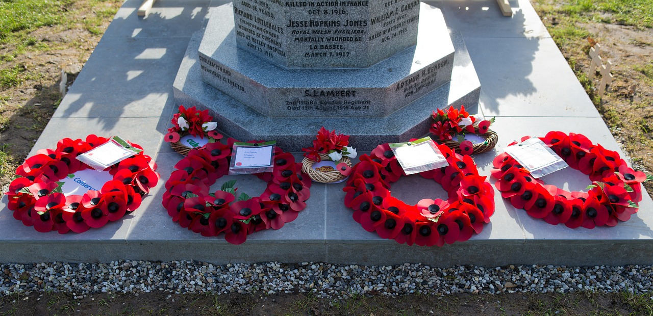 honouring the fallen war memorial poppy wreaths free photo