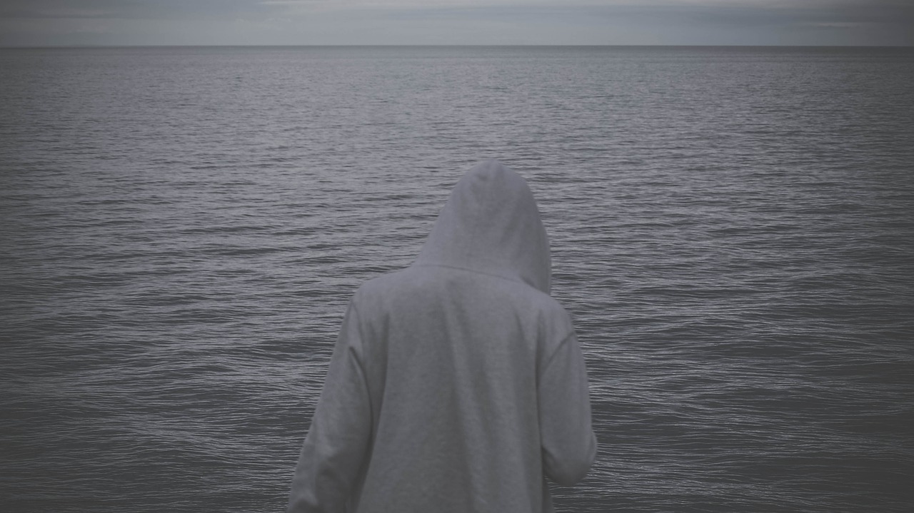 hoodie sweater ocean free photo