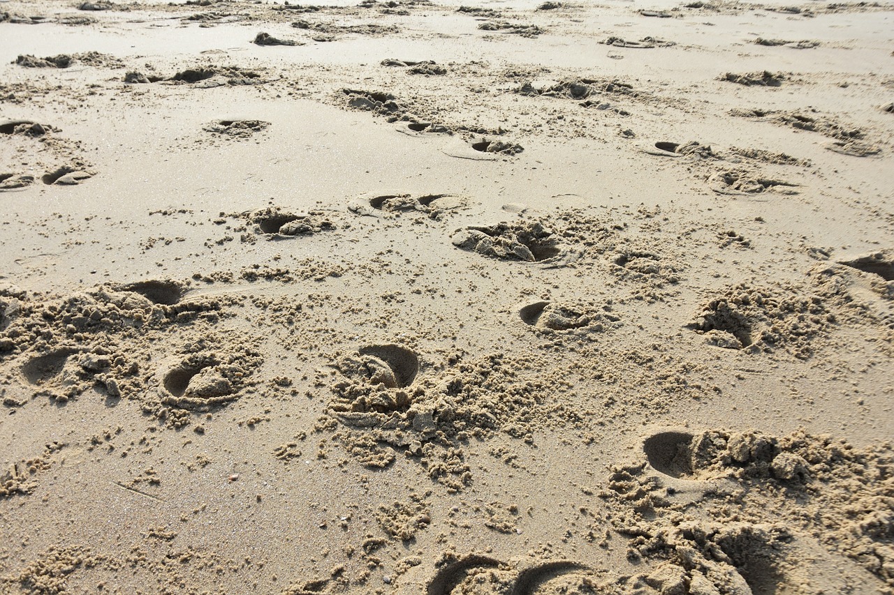 hoof prints hoofprints beach free photo
