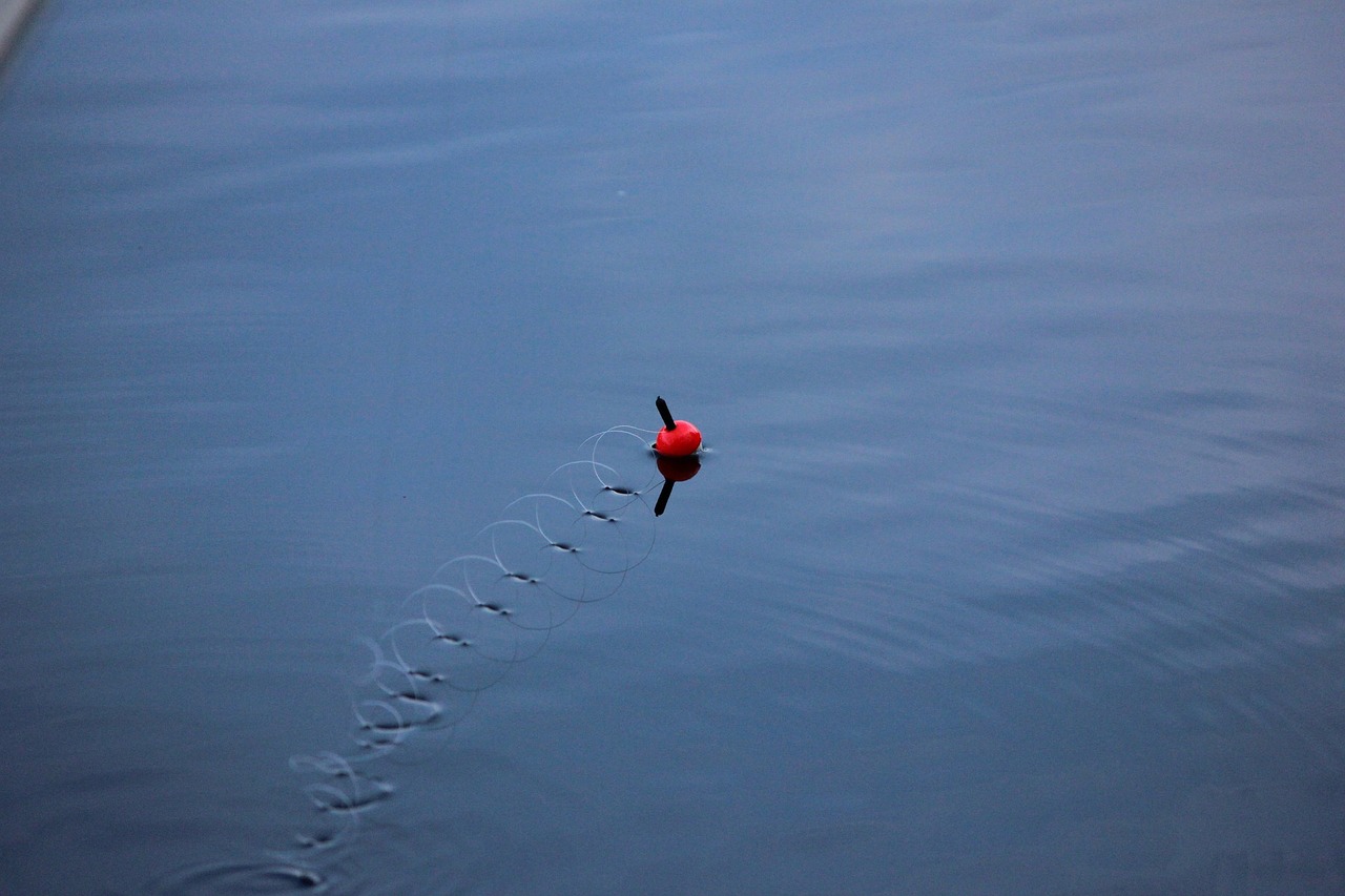 hook and line ongenkoho lake free photo