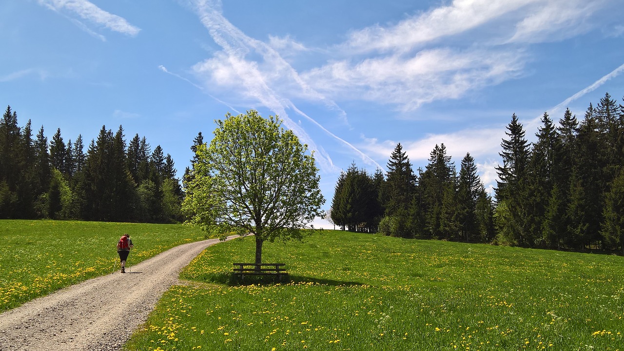 Hiking Spring.