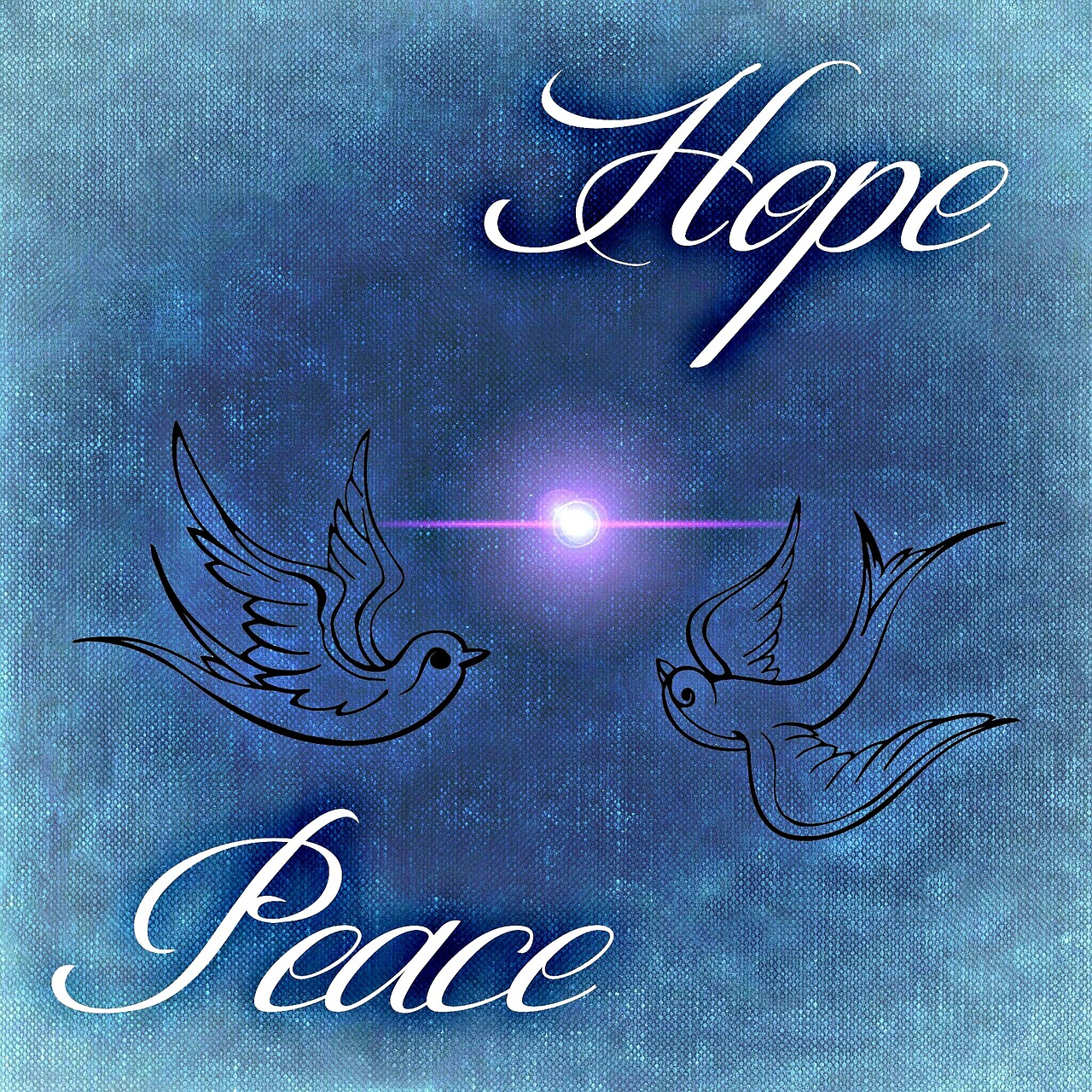 hope peace peace dove free photo