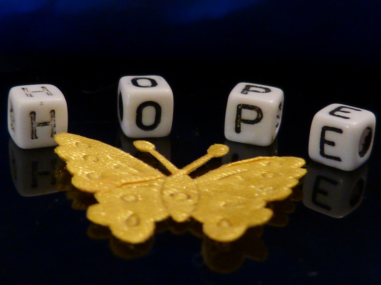 hope beads macro free photo