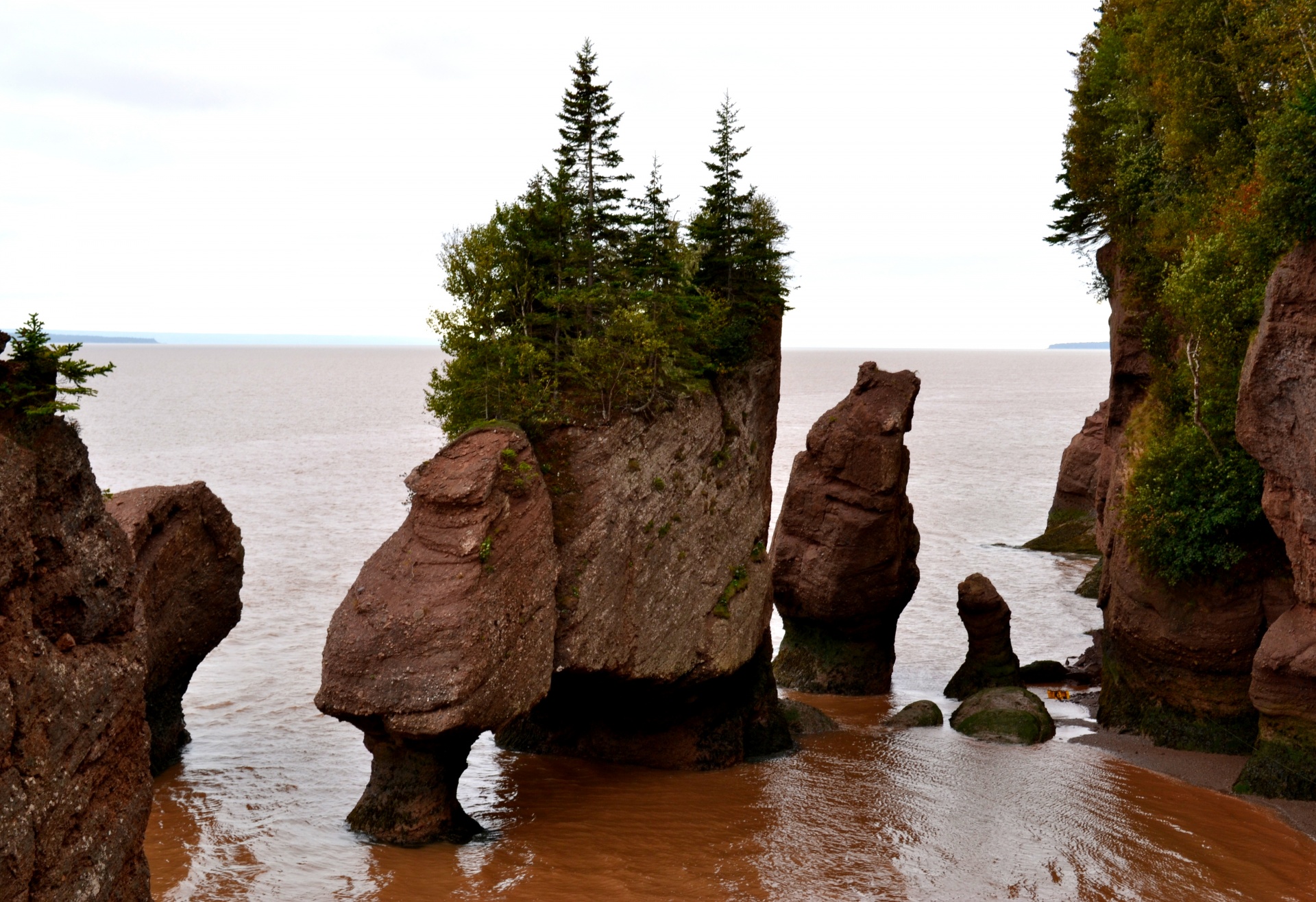 hopewell rocks bay fundy new brunswick free photo