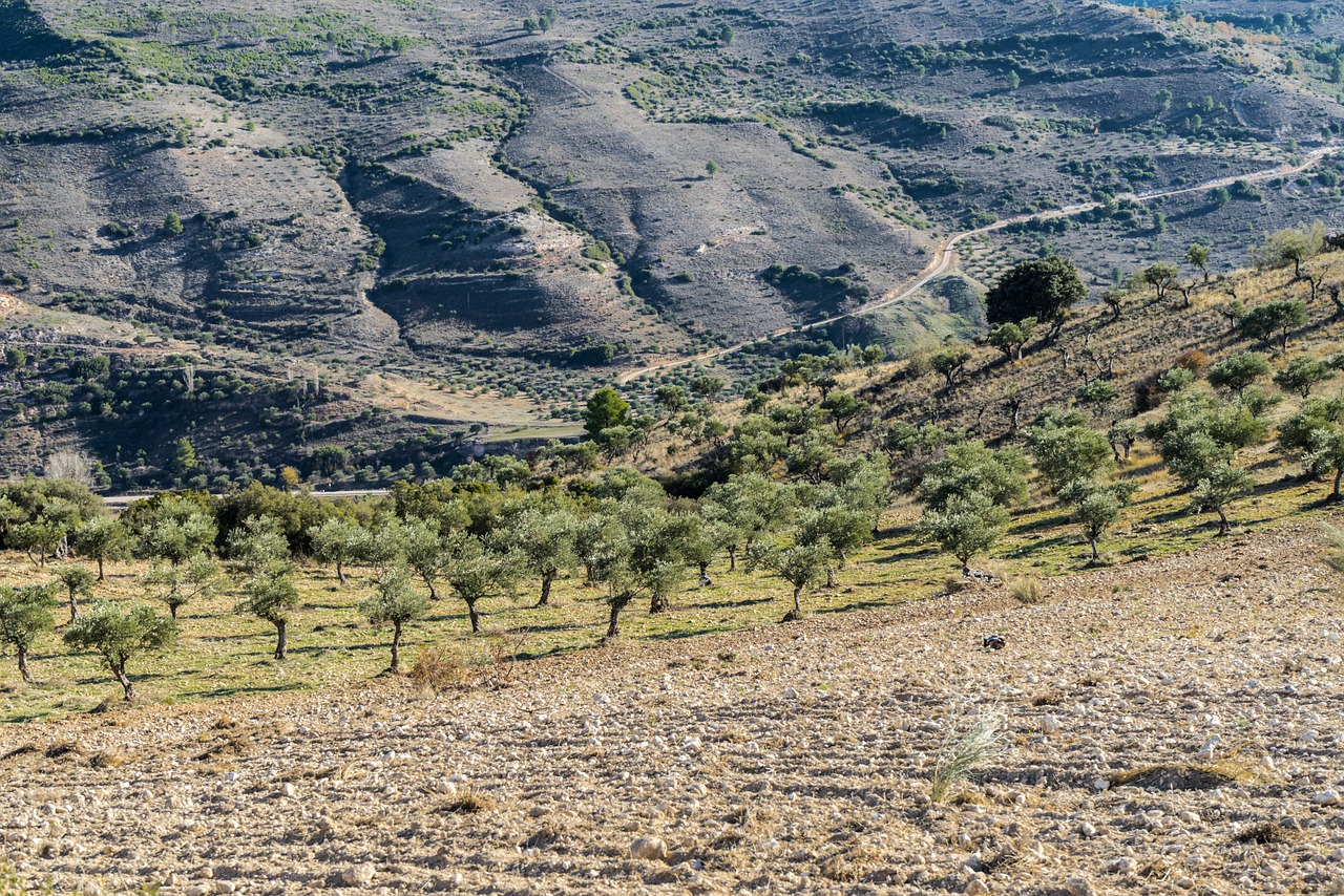 horizon landscape plateau free photo