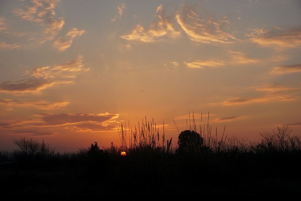 horizon country nature free photo