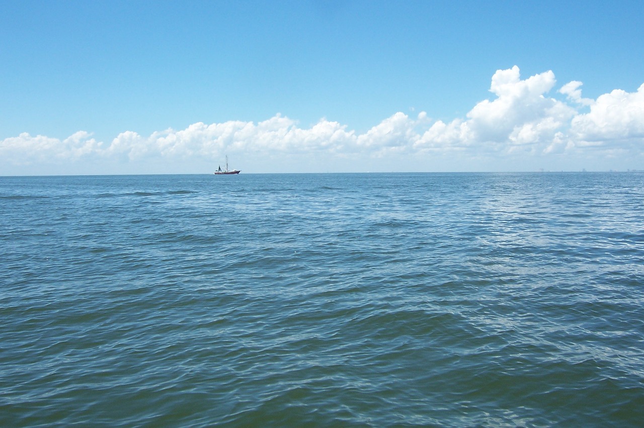 horizon gulf of mexico sea free photo