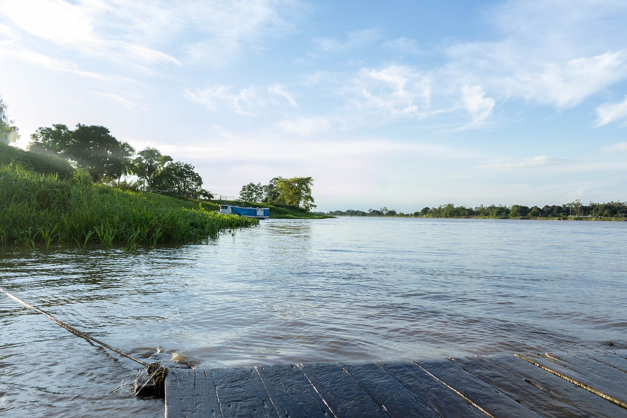 horizon water calm free photo