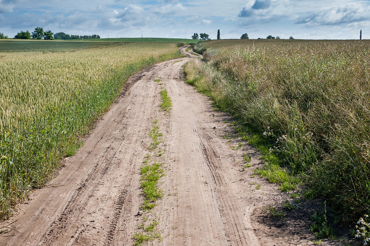 horizon away field free photo