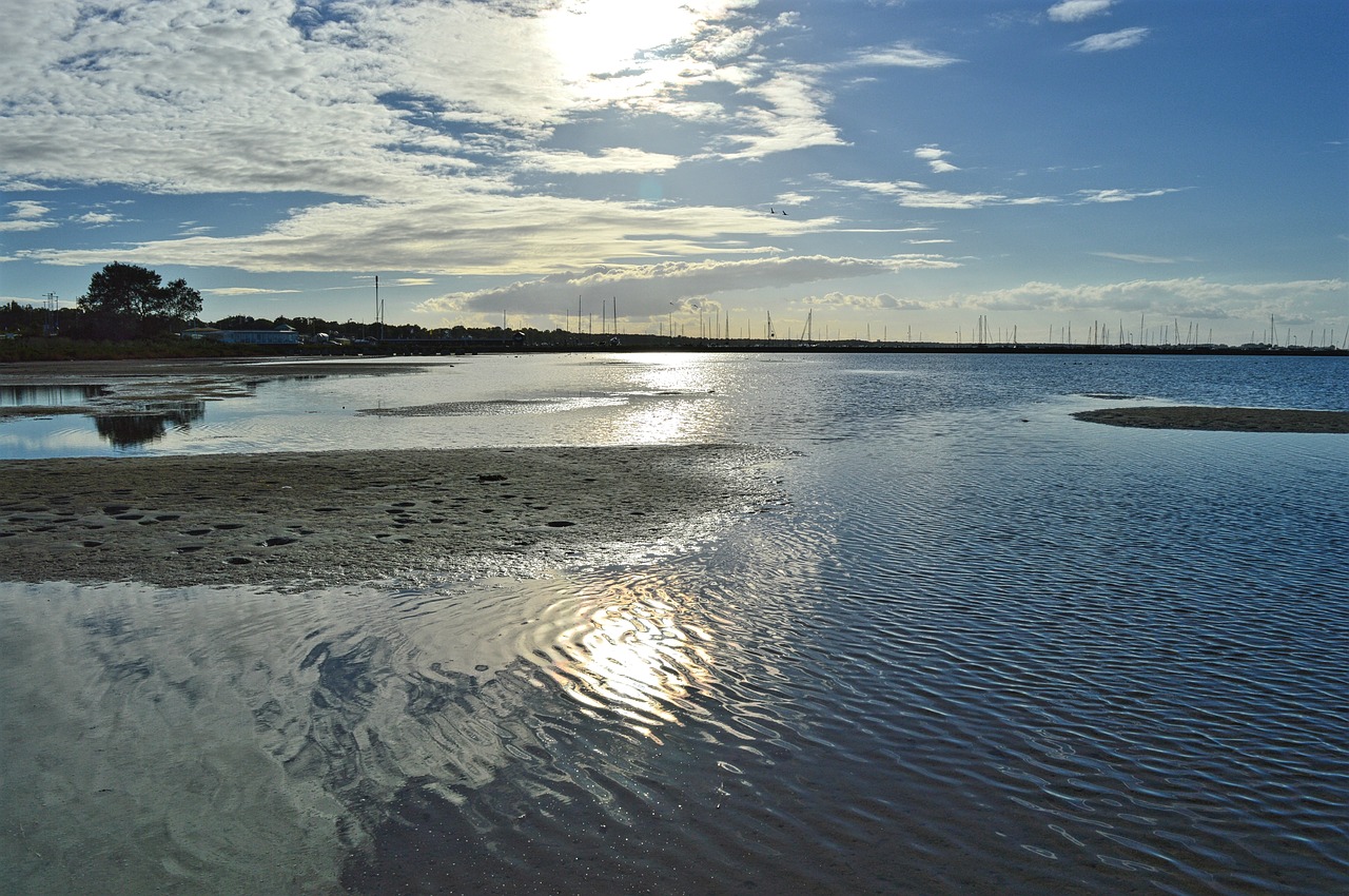 horizon ripples water free photo