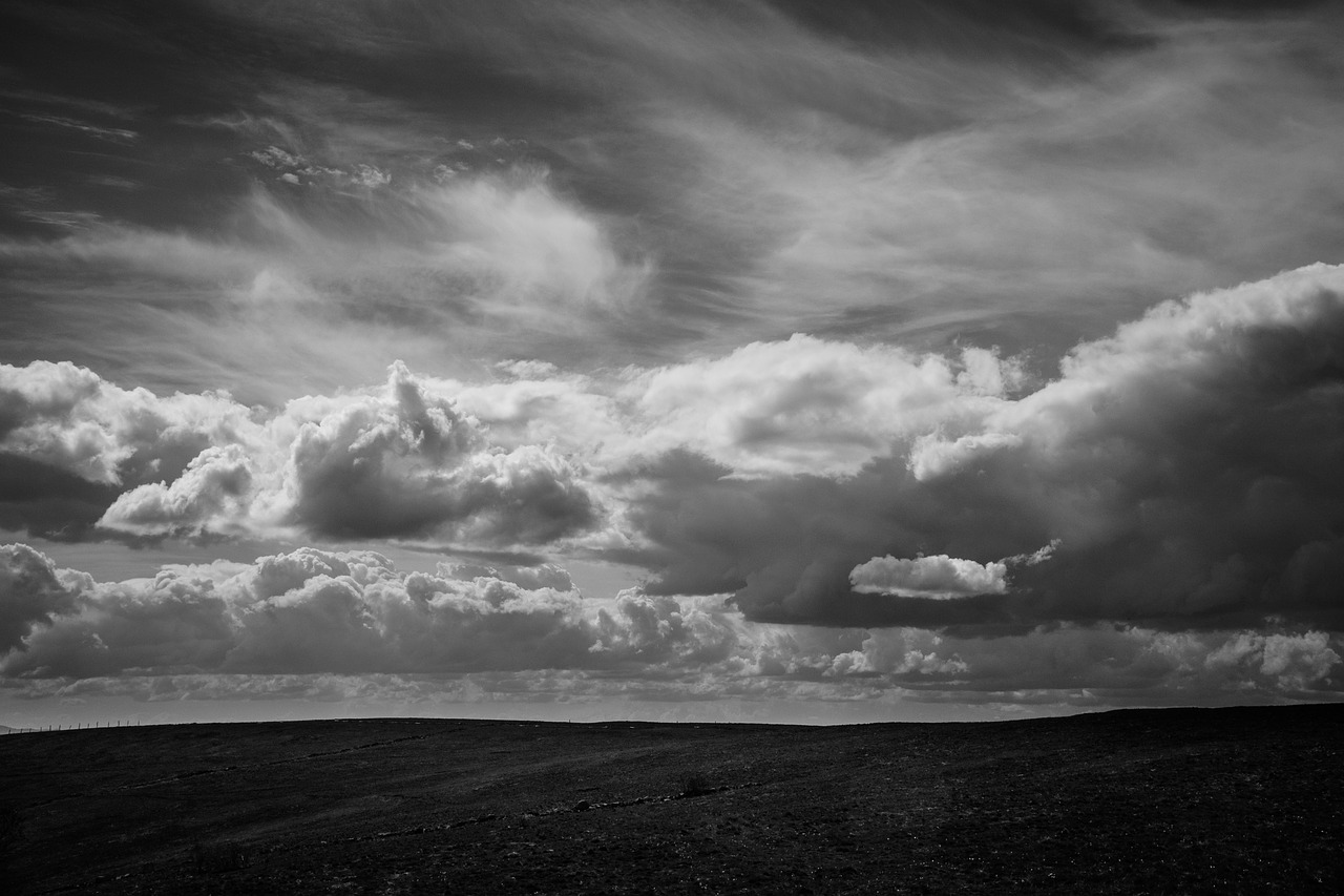 horizon black and white grass free photo