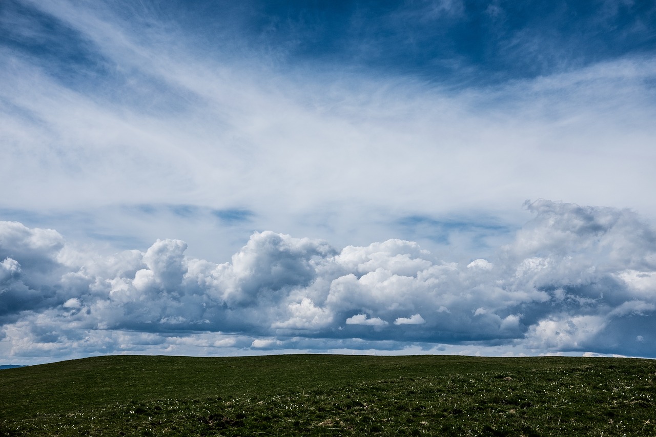 horizon green grass free photo