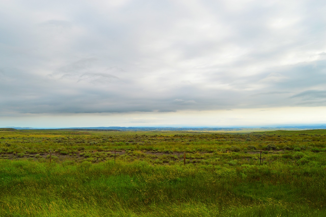 horizon  grassland  storm free photo