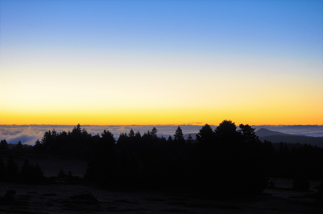 horizon  day nativity  dawn free photo