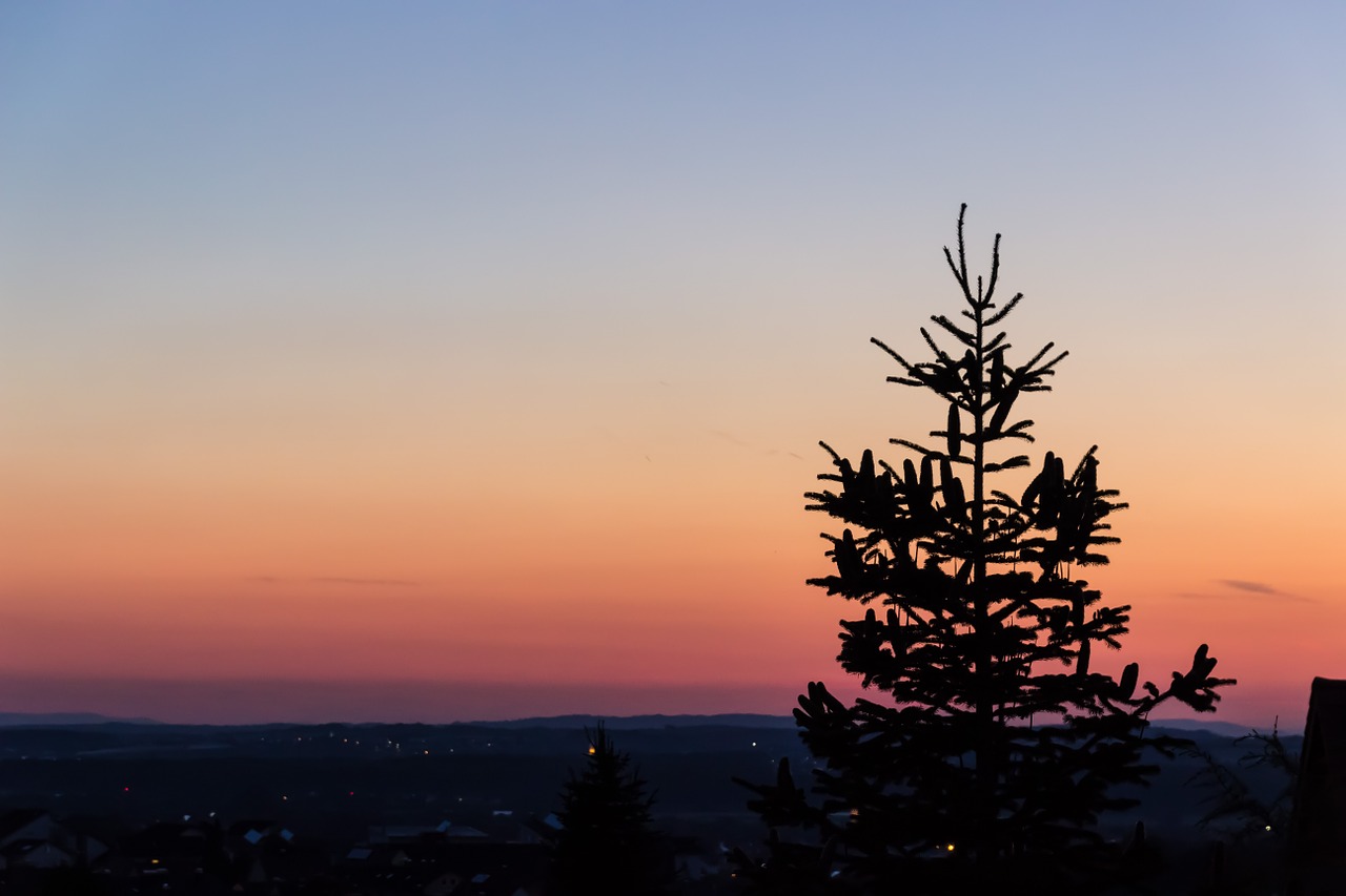 horizon evening twilight free photo