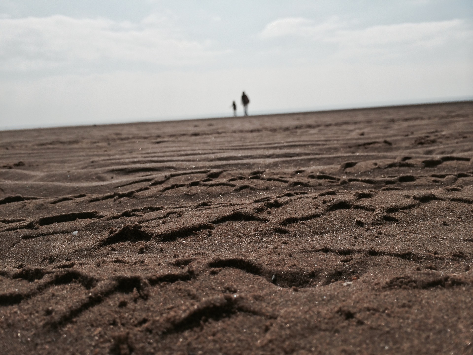 sand people horizon sand and distant people free photo