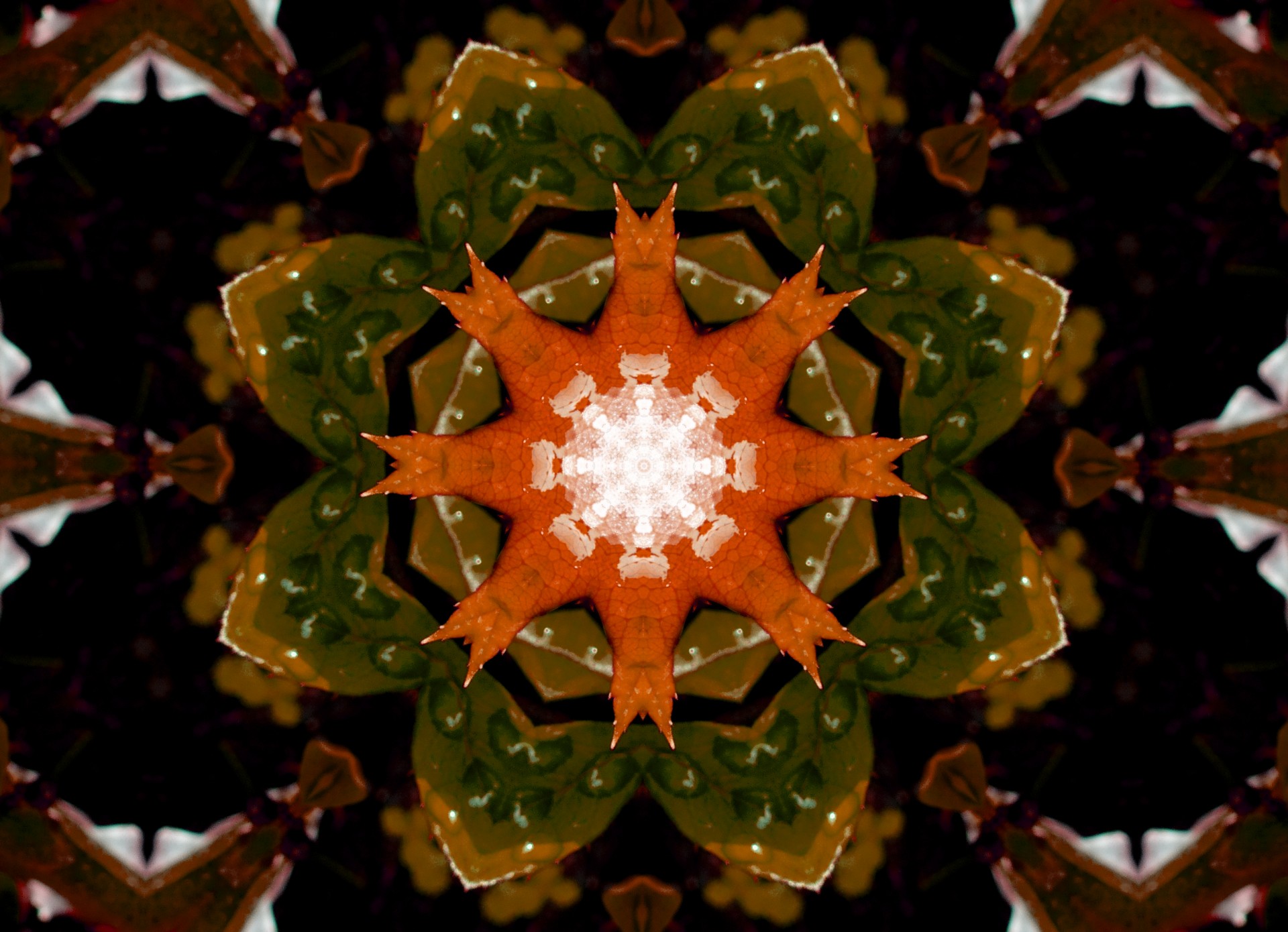 orange leaf pattern free photo