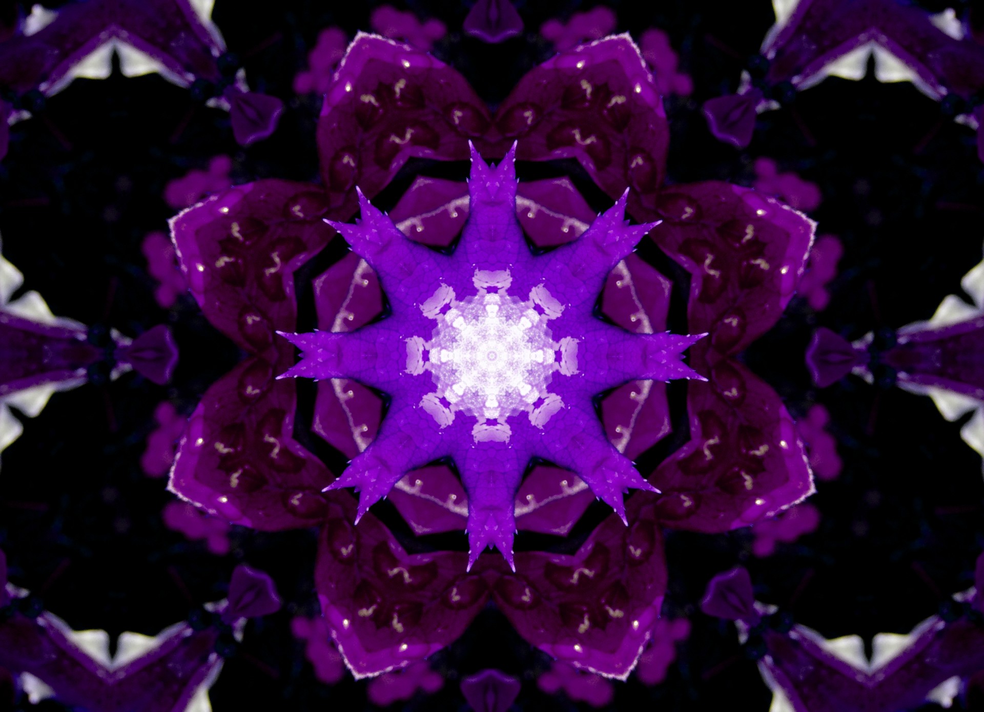 purple leaf pattern free photo