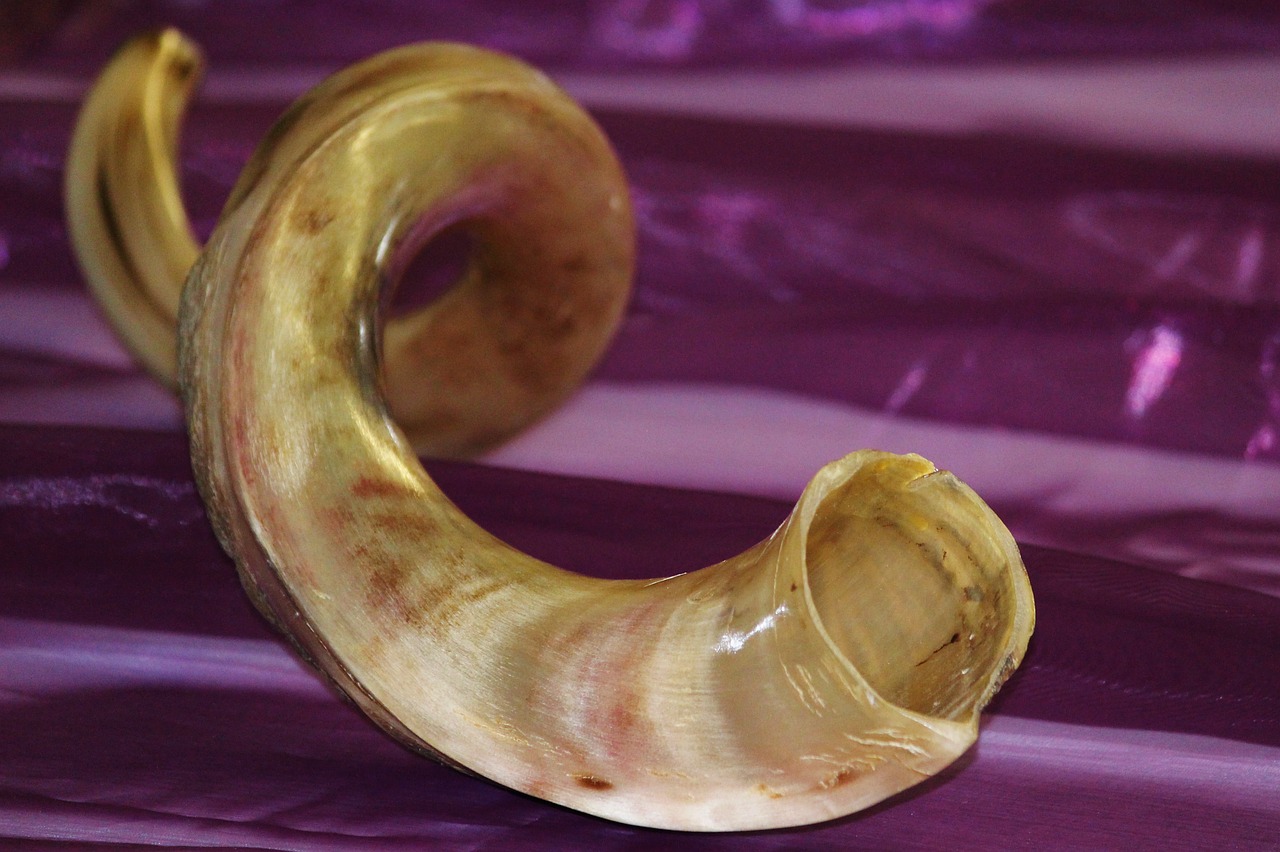 horn antelope musical instrument free photo