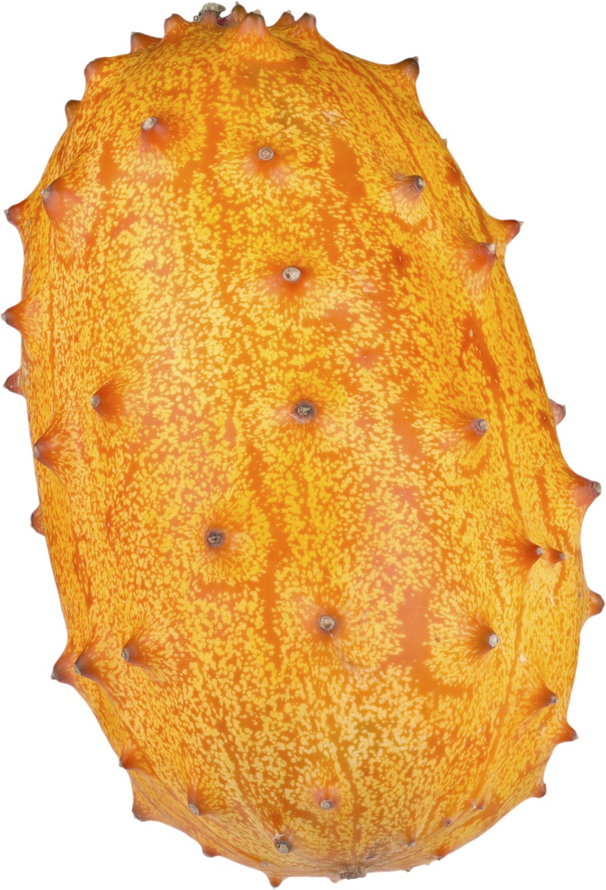 horned melon african horned cucumber kiwano melon free photo