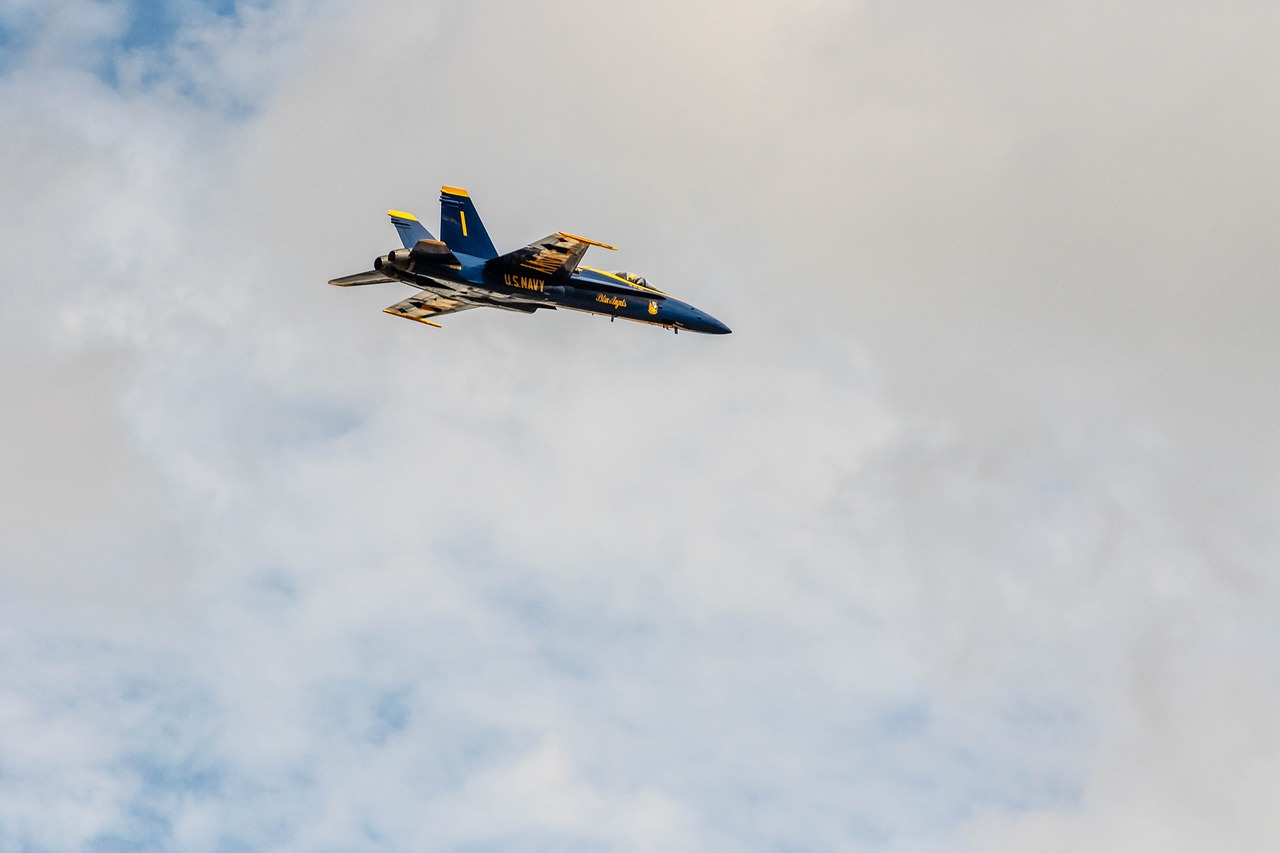 hornet  f18 blueangels  airshow free photo