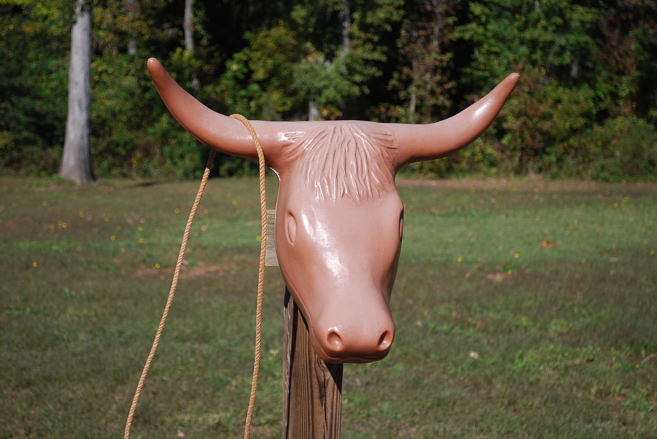 horns roping ranch free photo