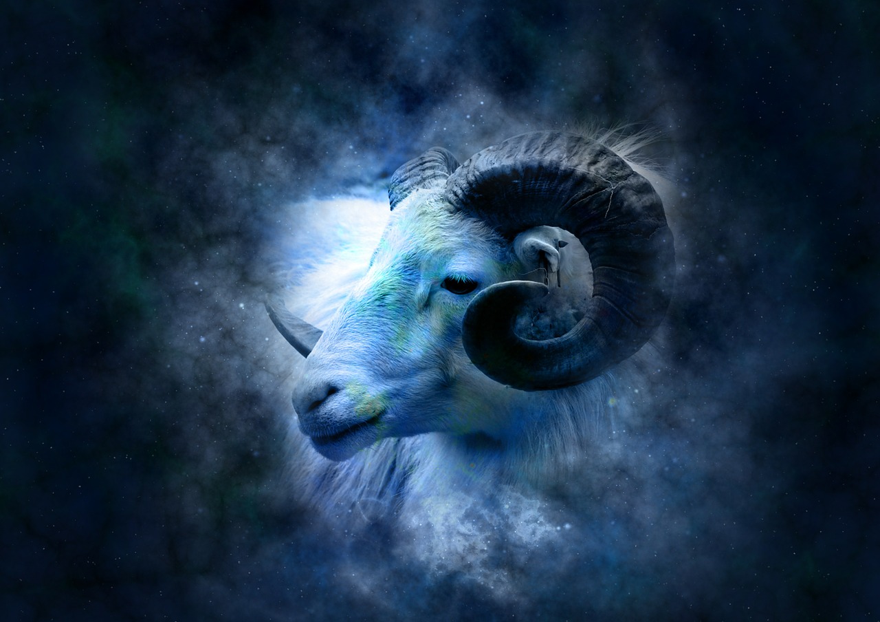 horoscope astrology zodiac free photo