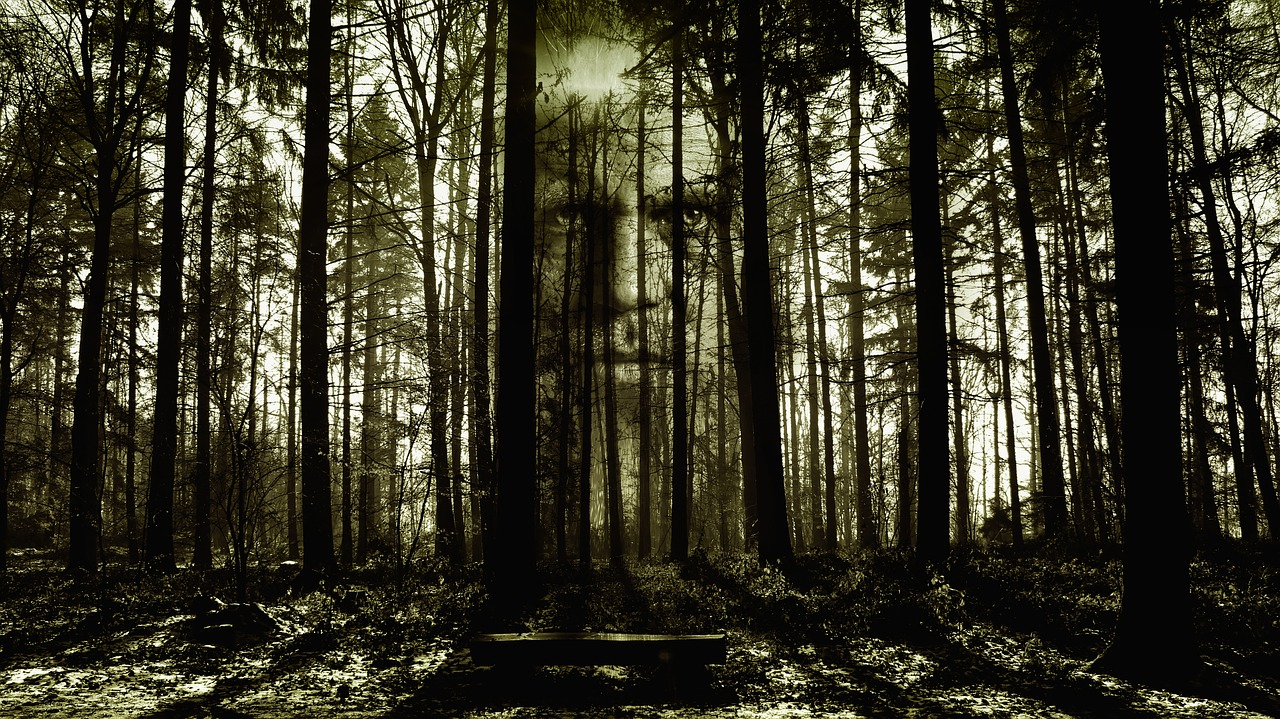horror face forest free photo