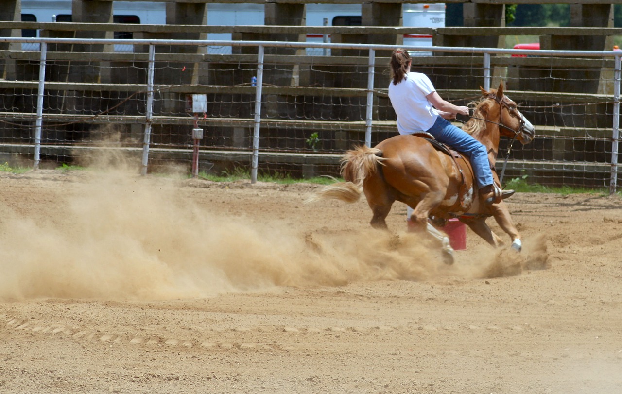 west botte race free photo