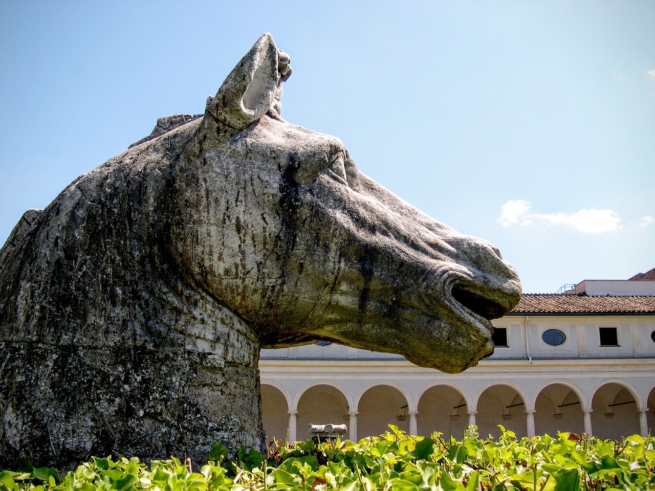 horse sculpture bronze free photo