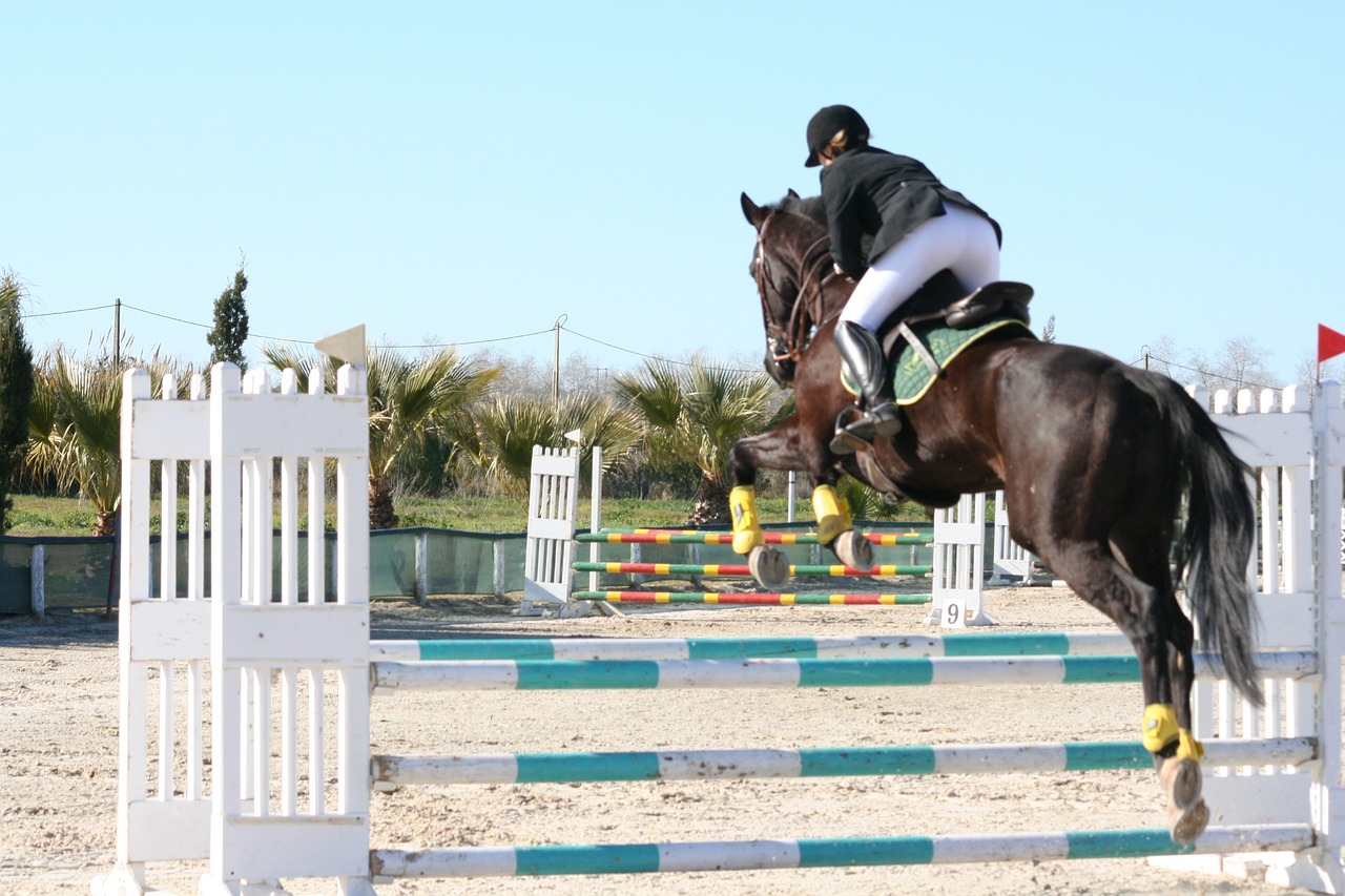 horse jumping black free photo