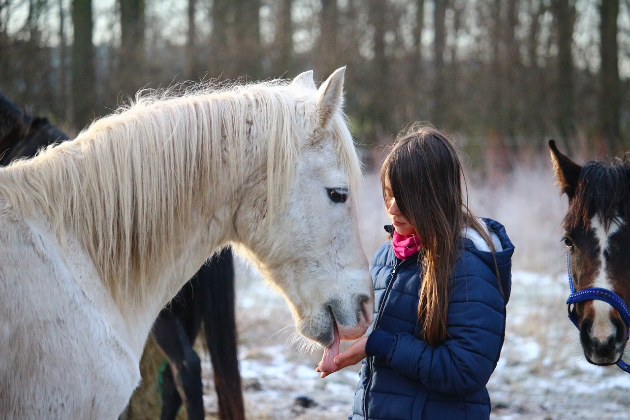 horse mold winter free photo