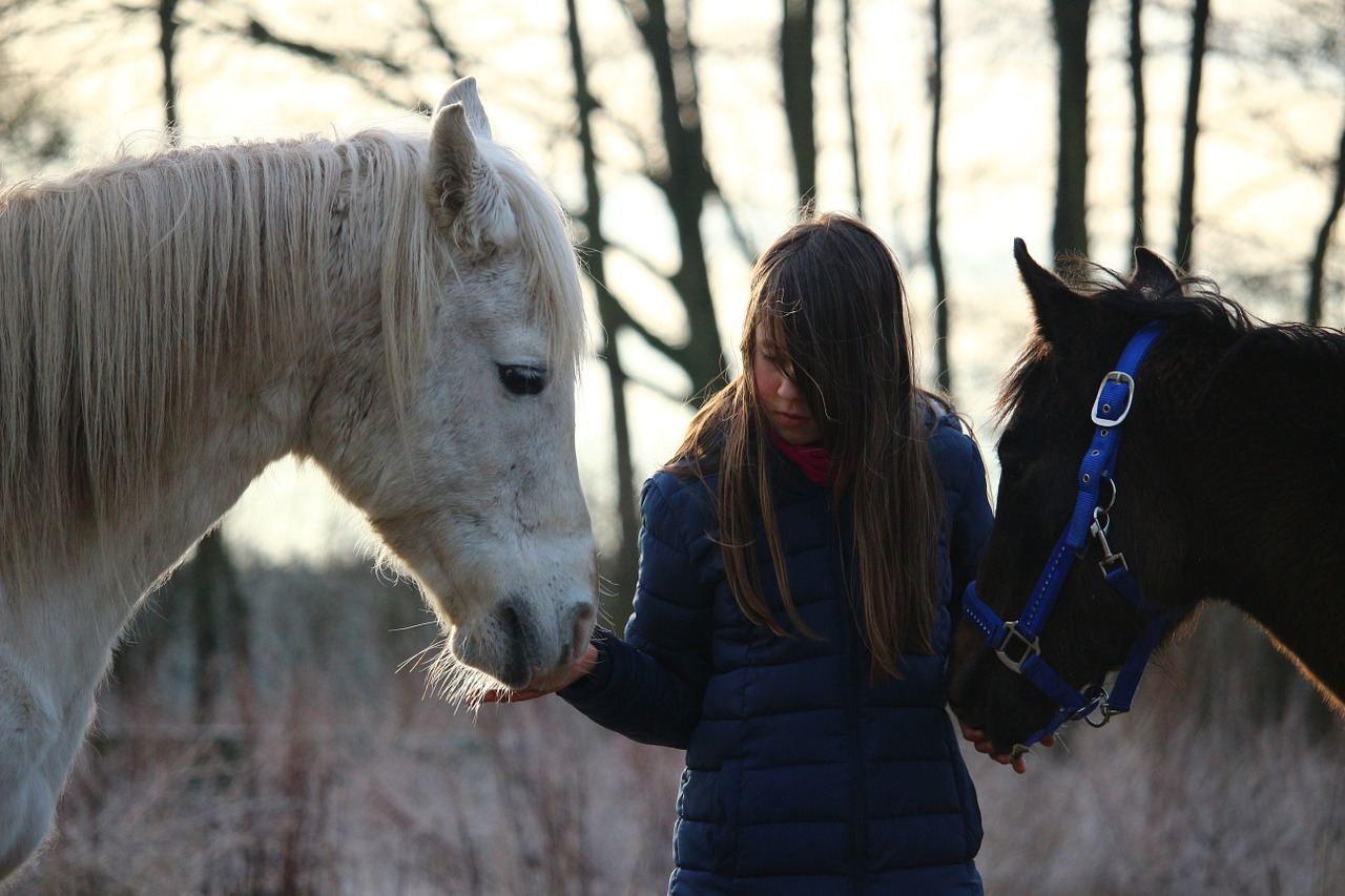 horse mold girl free photo