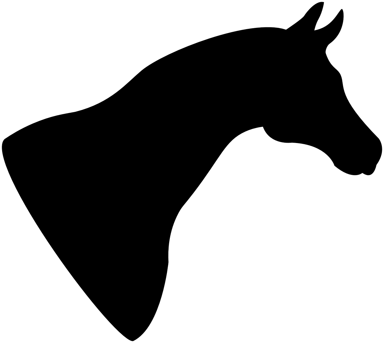 horse silhouette head free photo