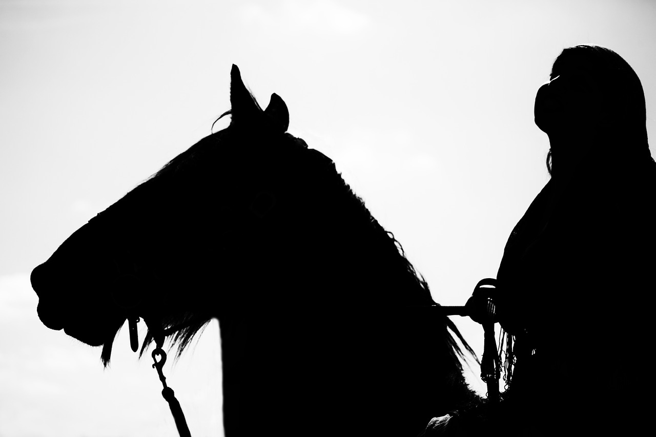 horse horse show equestrian free photo