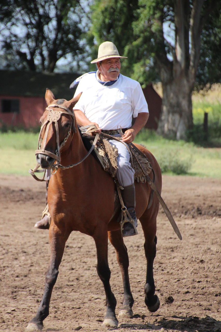 horse rider argentina free photo