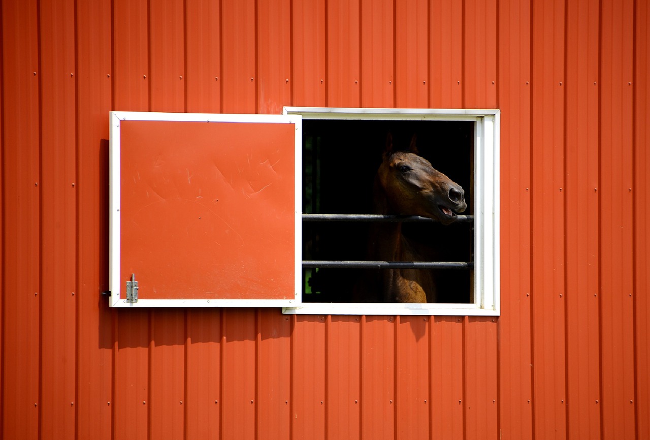 horse barn equine free photo