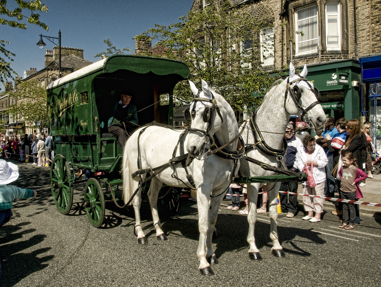 horse carriage ilkley free photo