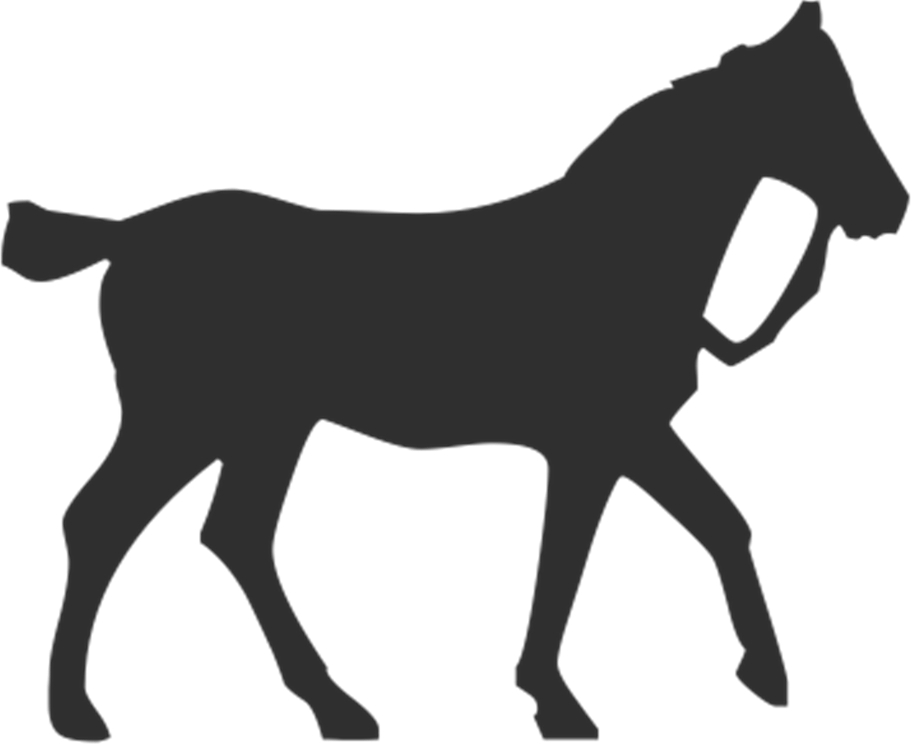 horse gallop equestrian free photo